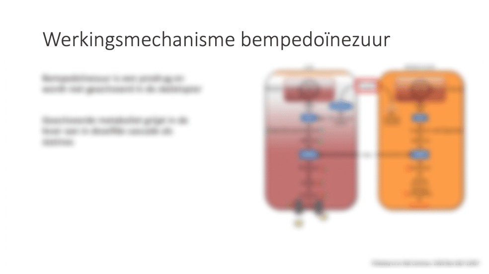 Slide 9